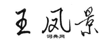 骆恒光王凤景行书个性签名怎么写