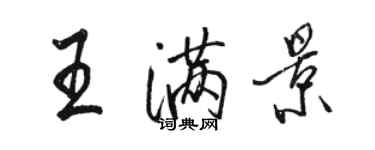 骆恒光王满景行书个性签名怎么写