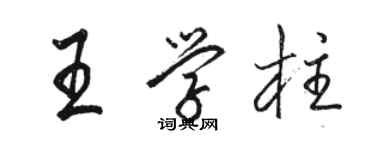 骆恒光王学柱行书个性签名怎么写