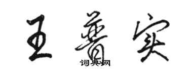 骆恒光王普实行书个性签名怎么写