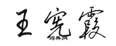 骆恒光王宪霞行书个性签名怎么写
