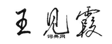骆恒光王见霞行书个性签名怎么写