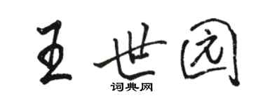 骆恒光王世园行书个性签名怎么写