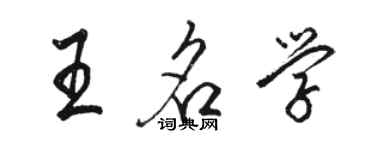 骆恒光王名学行书个性签名怎么写