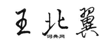 骆恒光王北翼行书个性签名怎么写