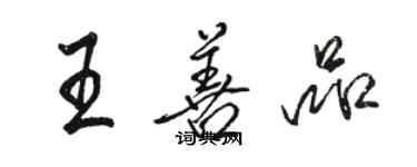 骆恒光王善品行书个性签名怎么写