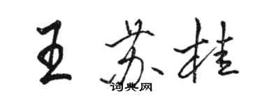 骆恒光王苏桂行书个性签名怎么写