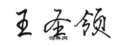 骆恒光王圣领行书个性签名怎么写