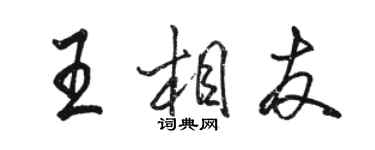 骆恒光王相友行书个性签名怎么写