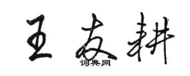 骆恒光王友耕行书个性签名怎么写