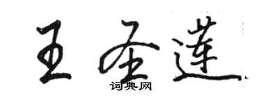 骆恒光王圣莲行书个性签名怎么写