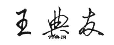 骆恒光王典友行书个性签名怎么写