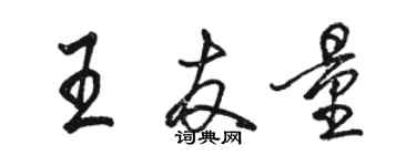 骆恒光王友量行书个性签名怎么写