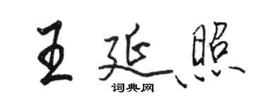 骆恒光王延照行书个性签名怎么写