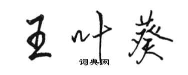 骆恒光王叶葵行书个性签名怎么写