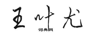 骆恒光王叶尤行书个性签名怎么写