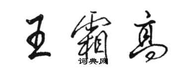 骆恒光王霜高行书个性签名怎么写
