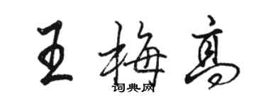 骆恒光王梅高行书个性签名怎么写