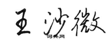 骆恒光王沙微行书个性签名怎么写