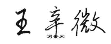 骆恒光王辛微行书个性签名怎么写