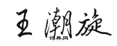 骆恒光王潮旋行书个性签名怎么写
