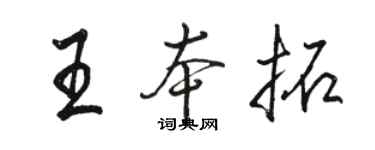 骆恒光王本拓行书个性签名怎么写