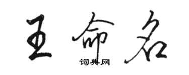 骆恒光王命名行书个性签名怎么写
