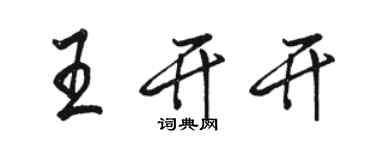 骆恒光王开开行书个性签名怎么写