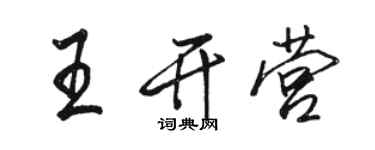 骆恒光王开营行书个性签名怎么写