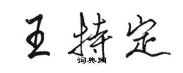 骆恒光王特定行书个性签名怎么写