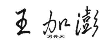 骆恒光王加澎行书个性签名怎么写