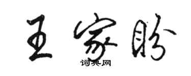 骆恒光王家盼行书个性签名怎么写