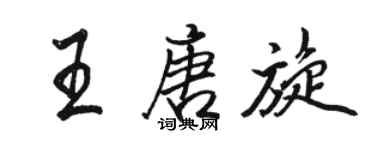 骆恒光王唐旋行书个性签名怎么写