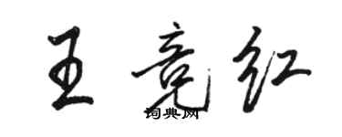 骆恒光王竞红行书个性签名怎么写