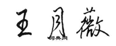 骆恒光王月薇行书个性签名怎么写
