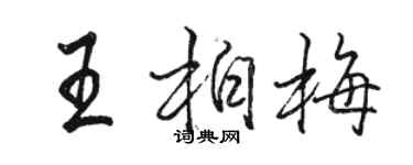 骆恒光王柏梅行书个性签名怎么写