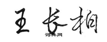 骆恒光王长柏行书个性签名怎么写