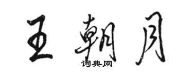 骆恒光王朝月行书个性签名怎么写