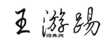 骆恒光王游踢行书个性签名怎么写