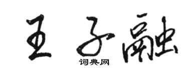 骆恒光王子融行书个性签名怎么写