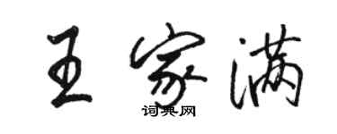 骆恒光王家满行书个性签名怎么写