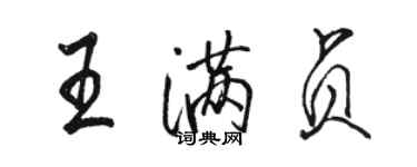 骆恒光王满贞行书个性签名怎么写