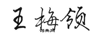 骆恒光王梅领行书个性签名怎么写