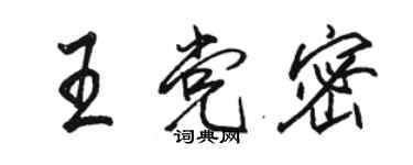 骆恒光王党密行书个性签名怎么写