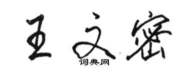 骆恒光王文密行书个性签名怎么写