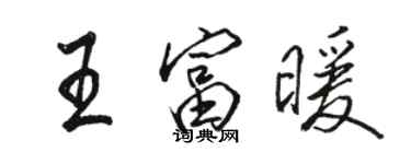 骆恒光王富暖行书个性签名怎么写