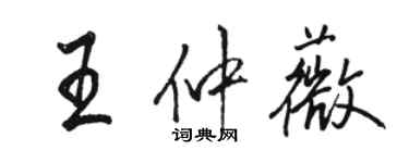 骆恒光王仲薇行书个性签名怎么写