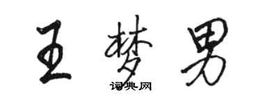 骆恒光王梦男行书个性签名怎么写