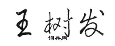 骆恒光王树发行书个性签名怎么写