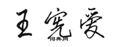骆恒光王宪爱行书个性签名怎么写